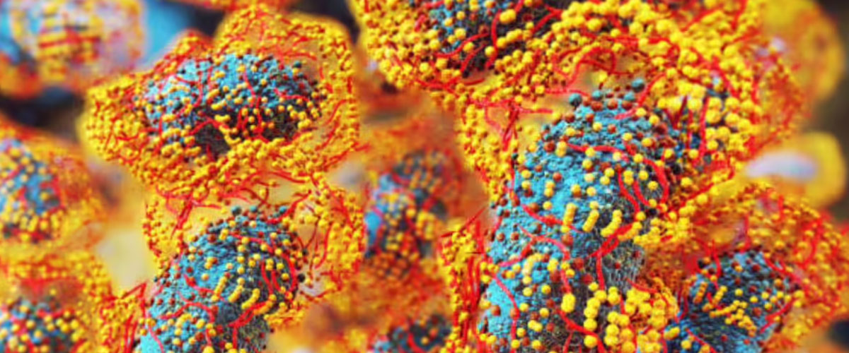 Nipah Virus: A Silent but Deadly Emerging Threat to Global Health