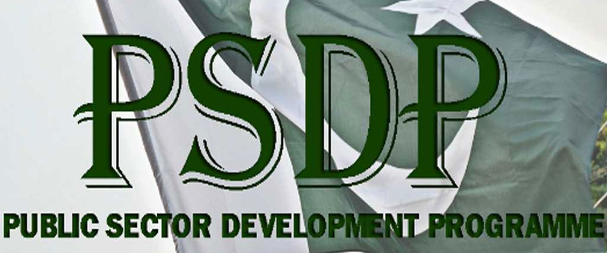 "Experts Warn PSDP Cuts Undermine Long-Term Economic Growth”