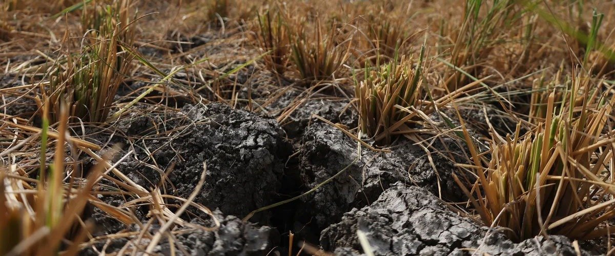 UN Warns Intensifying El Niño Could Become Strongest Ever Recorded
