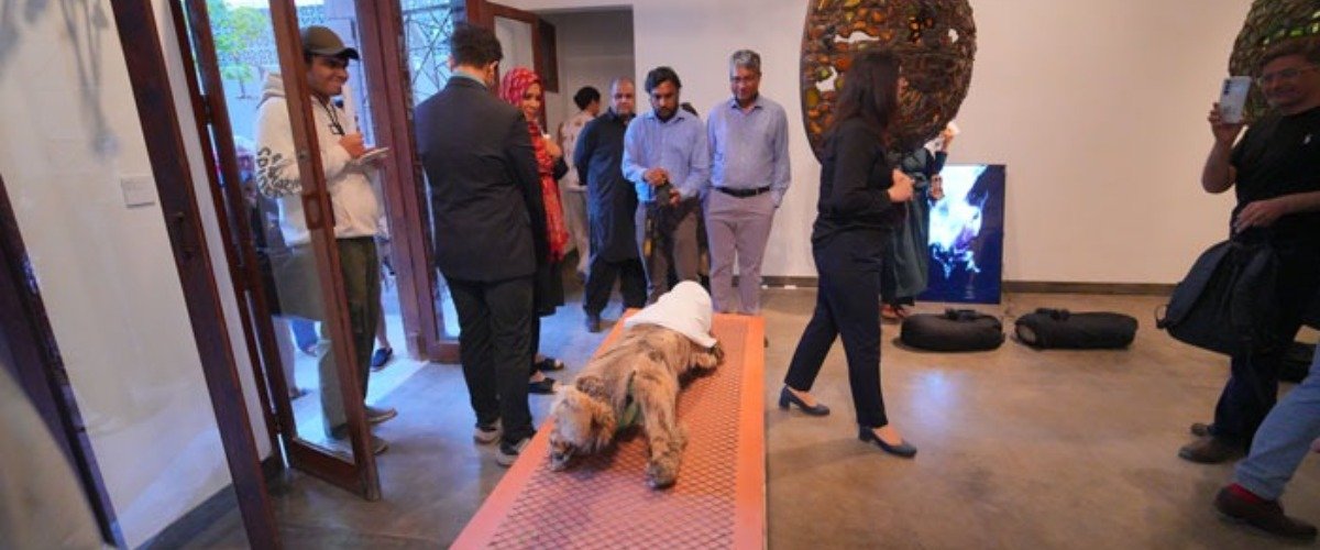 Karachi Biennale 2027 Called Off Amid War, Logistical Challenges
